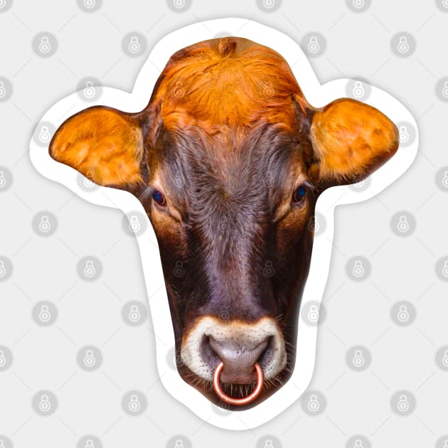 Head of a Young Bull Sticker by dalyndigaital2@gmail.com